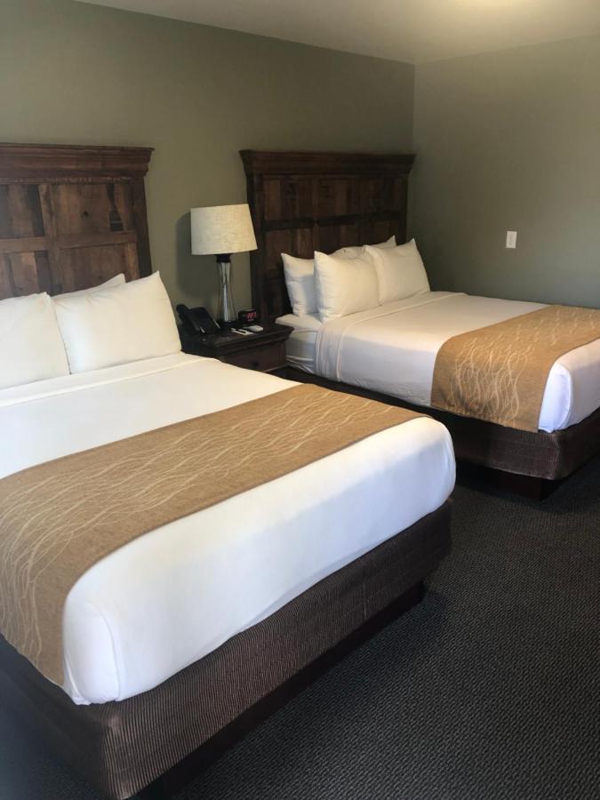 The Roosevelt Hotel - Yellowstone 加德纳 外观 照片